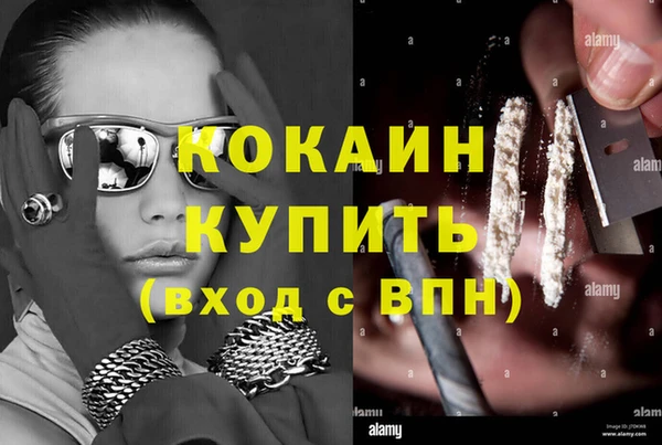 амф Корсаков