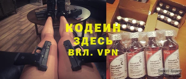 амф Корсаков