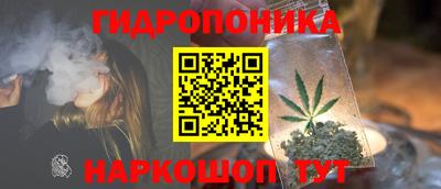 стаф Камышлов