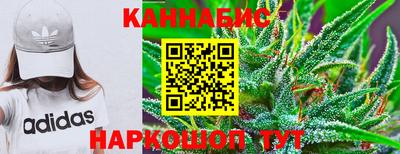 стаф Камышлов